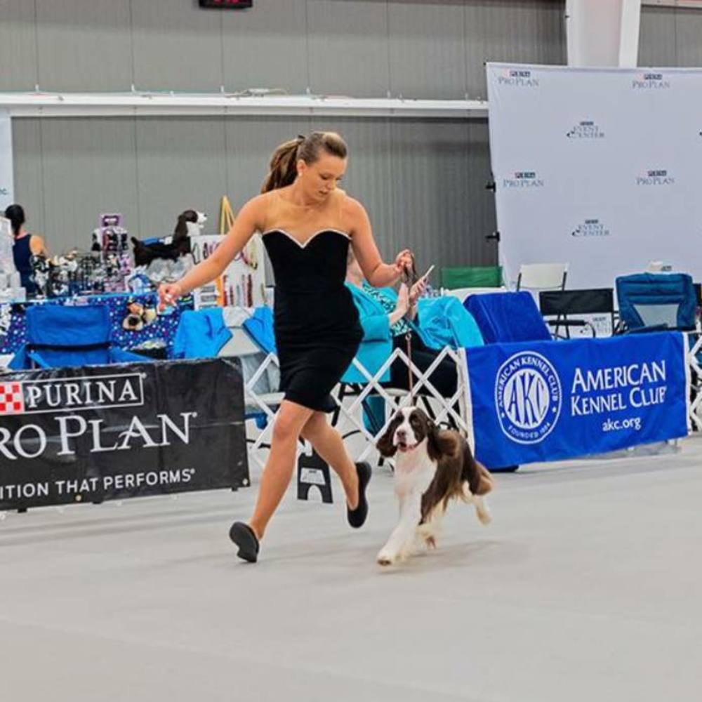 Meet your Posher, Nicole